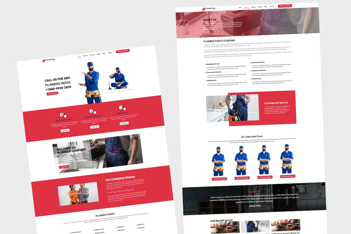 Plumber wordpress developer somnath dev